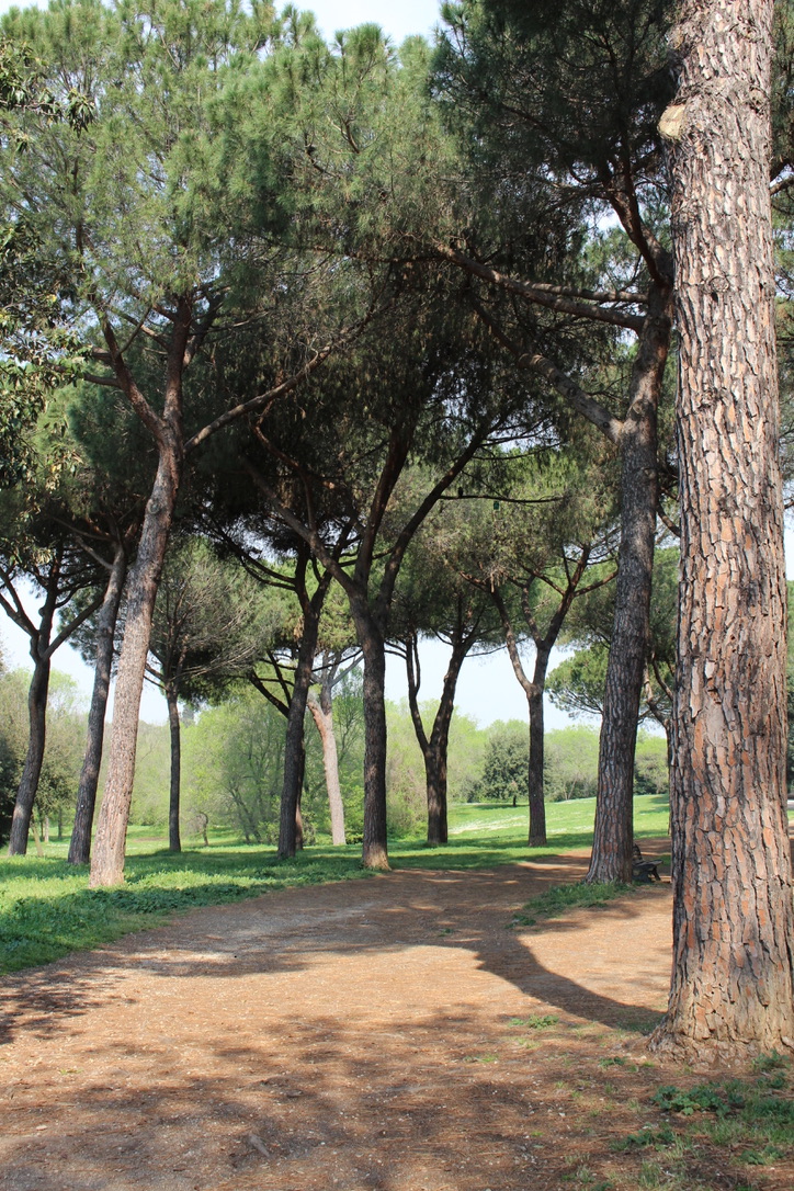 Rome
