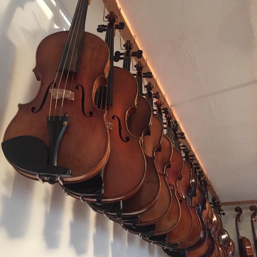 A row of violins in the workshop